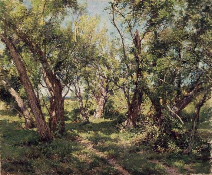 Willows, unknow artist